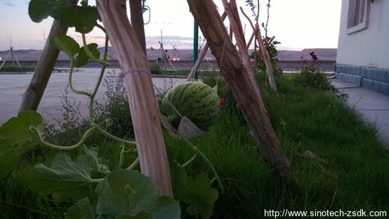 中色地科|礦產勘查|