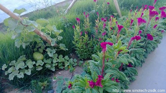 中色地科|礦產勘查|