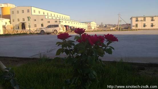 中色地科|礦產勘查|